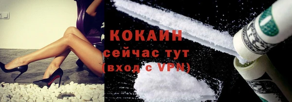 индика Вуктыл