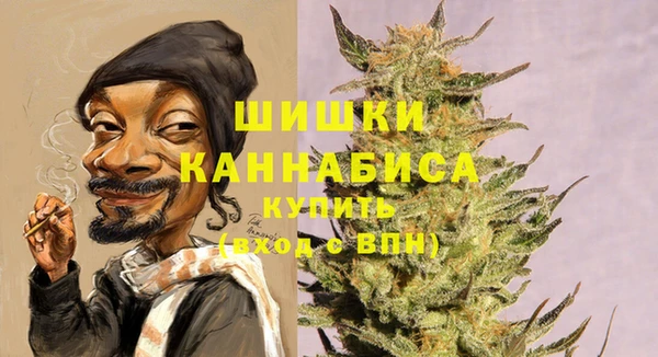 соль ск Балахна