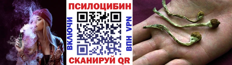 Псилоцибиновые грибы GOLDEN TEACHER  Ельня 
